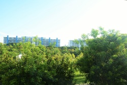 Waterfront Waves (D16), Condominium #219946531